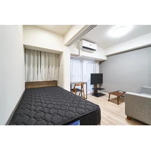 東京都のマンスリーマンション・ウィークリーマンション「賃料最大40％OFF！【小川町駅徒歩5分】エールプレミアム千代田淡路町◇1DK 1DK(No.1250021)」メイン画像