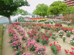 ばら公園まで徒歩１７分