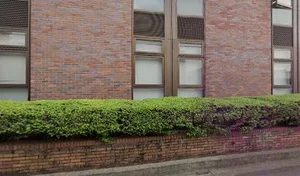 矢崎総業株式会社 広島営業所まで徒歩10分