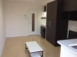 のマンスリーマンション・ウィークリーマンション「レオネクストドリームＫⅢ 205(No.1252544)」メイン画像