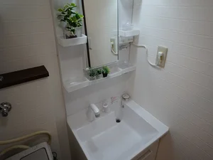 シャンプードレッサー