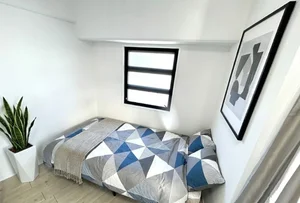 ゆったり明るめのお部屋で　中長期生活に向いております！※額や植木は写真用です。