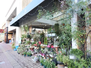 花屋　フルールブランシェまで徒歩３分
