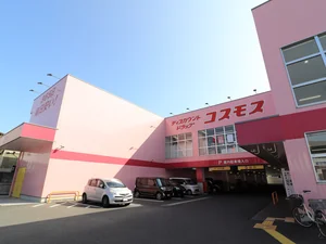 ドラッグストアコスモス 室の木店