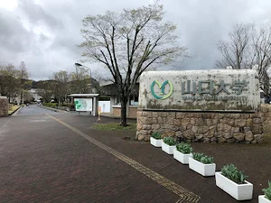 山口大学