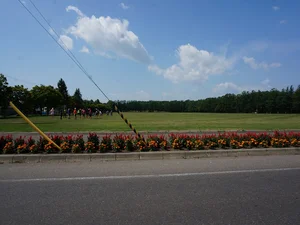 グリーンパーク徒歩5分