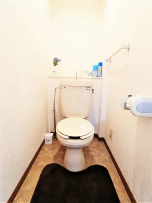 トイレットペーパーが付いていて トイレ洗剤・消臭剤やトイレブラシも完備!