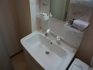 洗面台：シャンプードレッサー/ドライヤー