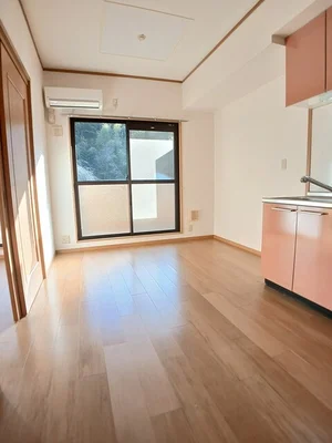 のマンスリーマンション・ウィークリーマンション「ルイーゼ 205・洋室(No.1275658)」メイン画像