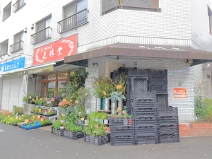 花林堂
