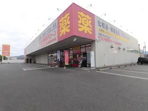 薬岩崎チェーン　