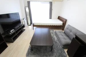 ※炊飯器・鍋フライパン・掃除機・アイロン・空気清浄機・HDD・ブルーレイレコーダーは現在設置しておりません。