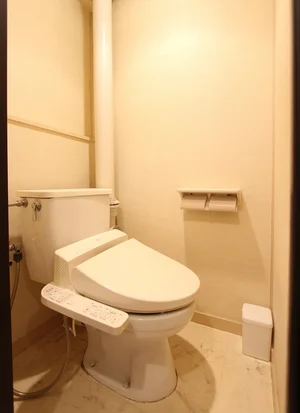 ※炊飯器・鍋フライパン・掃除機・アイロン・空気清浄機・HDD・ブルーレイレコーダーは現在設置しておりません。