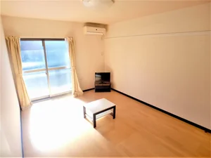 埼玉県のマンスリーマンション・ウィークリーマンション「レオネクストルナルミエール越谷 111(No.1285444)」メイン画像