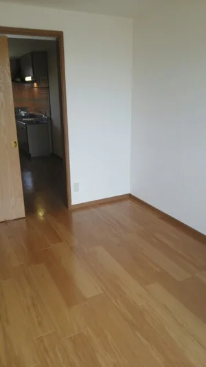 のマンスリーマンション・ウィークリーマンション「カーサエテルノＢ 203・洋室(No.1286507)」メイン画像