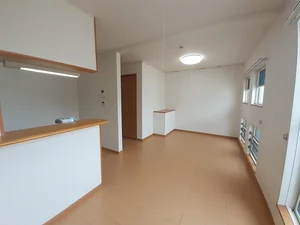 阪南大学本キャンパス周辺のマンスリーマンション・ウィークリーマンション「メゾン　ソレイユ 205・LDK(No.1288114)」メイン画像