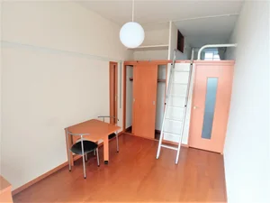 草加市のマンスリーマンション・ウィークリーマンション「レオパレス氷川 102(No.1294686)」メイン画像