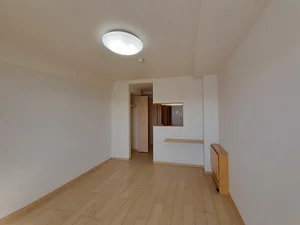 のマンスリーマンション・ウィークリーマンション「グランデ尼崎 802・洋室(No.1297793)」メイン画像