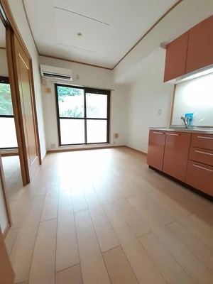 のマンスリーマンション・ウィークリーマンション「ルイーゼ 103・洋室(No.1303779)」メイン画像