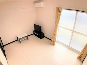 獨協大学周辺のマンスリーマンション・ウィークリーマンション「レオネクスト金明 203(No.1306535)」メイン画像