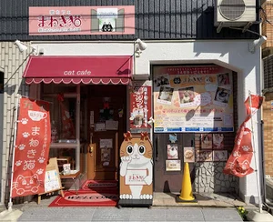 猫カフェまねき猫まで徒歩５分