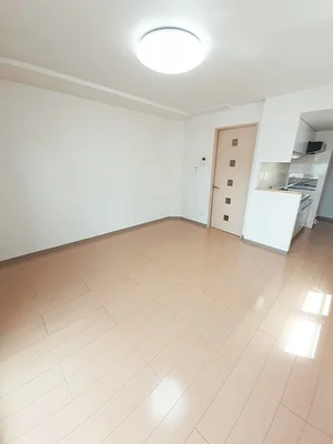 北海道大学地球環境科学研究院周辺のマンスリーマンション・ウィークリーマンション「Ｎｏｒｔｈ３５ 304・洋室(No.1307408)」メイン画像