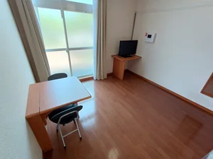 河内花園駅（大阪府）のマンスリーマンション・ウィークリーマンション「レオパレス飛鳥 103(No.1312105)」メイン画像