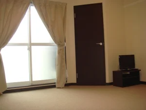 のマンスリーマンション・ウィークリーマンション「レオネクスト小原橋 203(No.1312971)」メイン画像