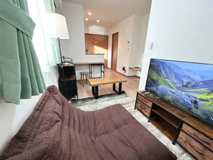 43型テレビ