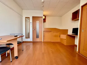 のマンスリーマンション・ウィークリーマンション「レオパレスタカギⅢ 103(No.1316002)」メイン画像