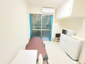 のマンスリーマンション・ウィークリーマンション「AP111 パレス中川II（亀有） 203(No.1321621)」メイン画像