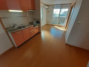 のマンスリーマンション・ウィークリーマンション「フェアーハウス武井壱番館 201・洋室(No.1322662)」メイン画像