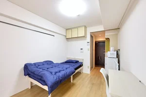 大国町駅（大阪府）のマンスリーマンション・ウィークリーマンション「AP1097 メゾン・ド・ティユール 704(No.1324853)」メイン画像