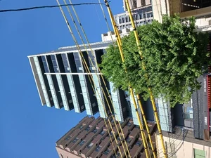 名古屋市中区丸の内（愛知県）のマンスリーマンション・ウィークリーマンション「アーバンスクウェア丸の内 1202・洋室(No.1327661)」メイン画像
