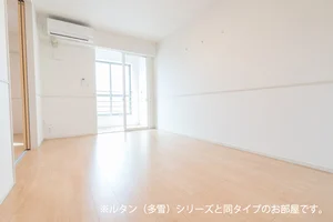 天童市のマンスリーマンション・ウィークリーマンション「シャンブル・ソラソ 201・洋室(No.1332242)」メイン画像