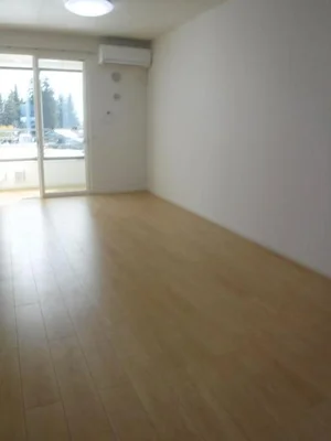 のマンスリーマンション・ウィークリーマンション「ル・ボナール　Ⅱ　Ｂ 204・洋室(No.1332359)」メイン画像