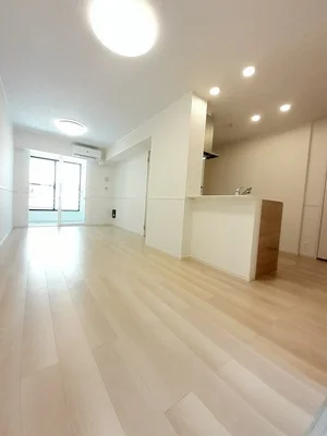 八尾市のマンスリーマンション・ウィークリーマンション「フェリス・ストリームⅡ 101・洋室(No.1333466)」メイン画像