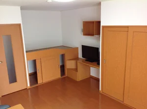 野木駅（栃木県）のマンスリーマンション・ウィークリーマンション「レオパレス龍 108(No.1337278)」メイン画像