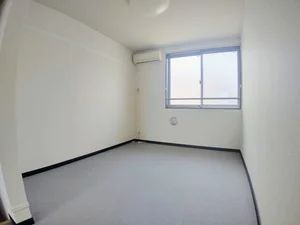 燕駅（新潟県）のマンスリーマンション・ウィークリーマンション「レオネクストフォール 109(No.1341294)」メイン画像