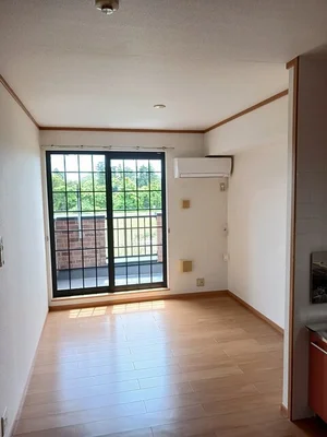 新茂原駅（千葉県）のマンスリーマンション・ウィークリーマンション「セブンアクロス 203・洋室(No.1345336)」メイン画像