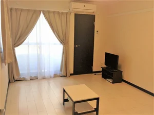 のマンスリーマンション・ウィークリーマンション「レオネクストアムール羽生 205(No.1349397)」メイン画像