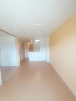 有田郡有田川町のマンスリーマンション・ウィークリーマンション「ベラ　ヴィスタ 203・洋室(No.1359024)」メイン画像