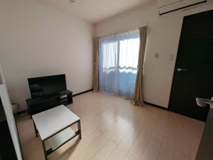 のマンスリーマンション・ウィークリーマンション「レオネクスト東玉川 201(No.1365974)」メイン画像