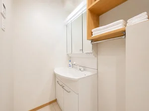 独立洗面台