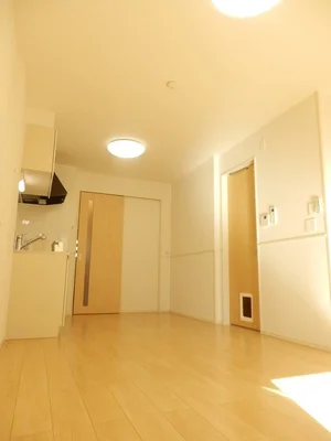 のマンスリーマンション・ウィークリーマンション「モデッサ１５ 104・洋室(No.1374986)」メイン画像