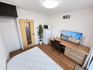 名古屋市西区のマンスリーマンション・ウィークリーマンション「アルDEスリー則武イオン 301・1K(No.1375553)」メイン画像