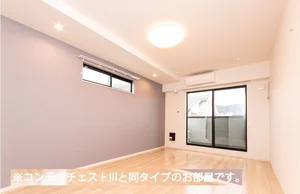 さいたま市のマンスリーマンション・ウィークリーマンション「ヒカルサさいたま吉野 205・洋室(No.1388592)」メイン画像