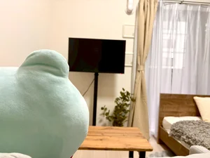 テレビも見やすいです♪