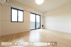 浦和駅（埼玉県）のマンスリーマンション・ウィークリーマンション「ヒカルサさいたまサクラ 104・洋室(No.1407362)」メイン画像
