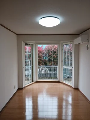 日高郡美浜町のマンスリーマンション・ウィークリーマンション「アルバ・ソーレⅠ 102・洋室(No.1409827)」メイン画像